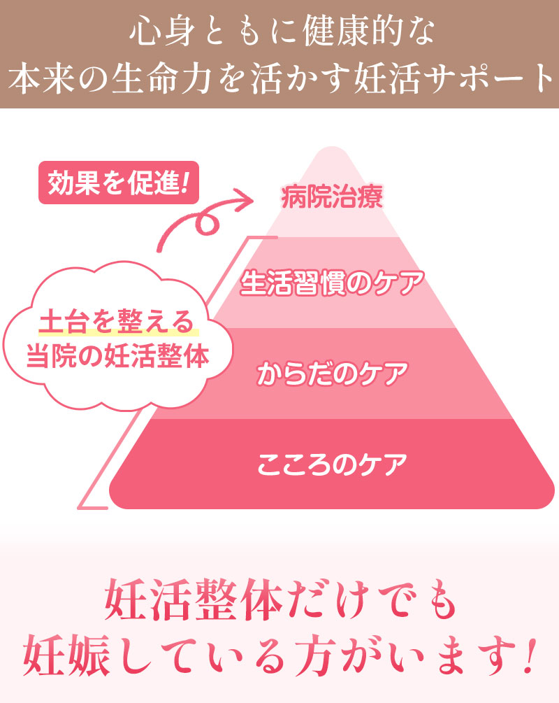 妊活整体のイメージ